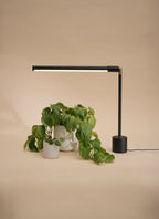 Luxxs™ Tabletop Grow Light - Luxxs