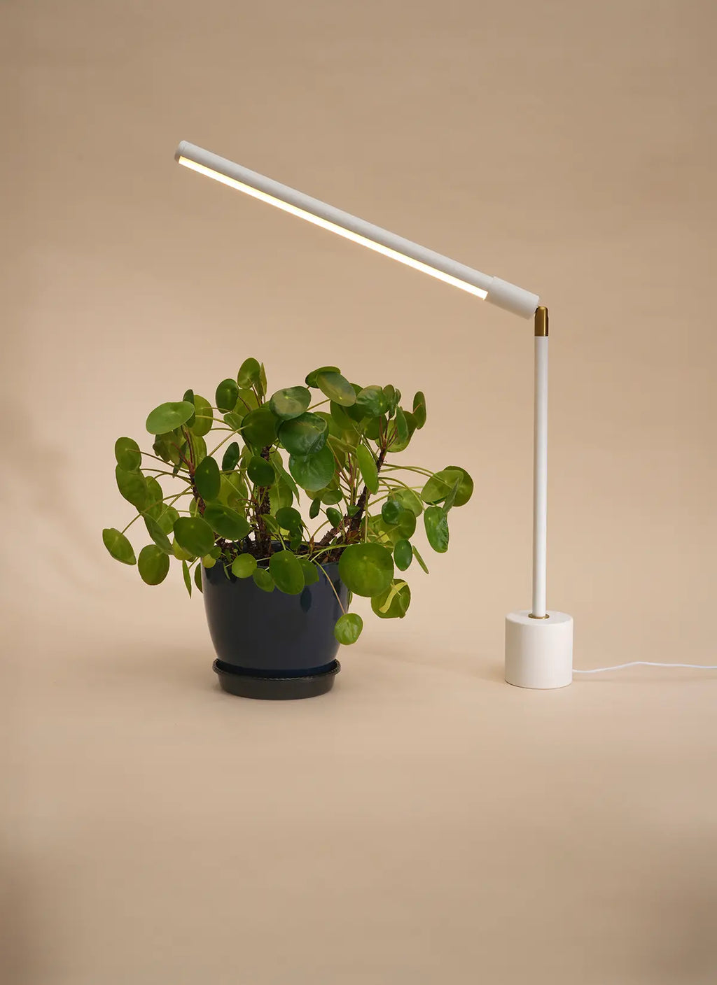 Luxxs™ Tabletop Grow Light - Luxxs