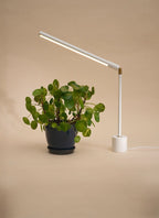 Luxxs™ Tabletop Grow Light - Luxxs