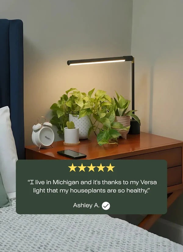 Luxxs™ Tabletop Grow Light - Luxxs